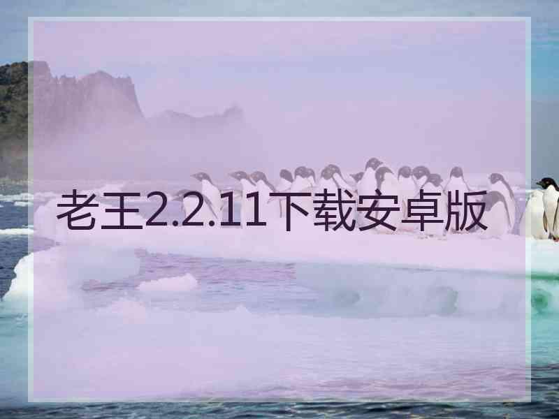 老王2.2.11下载安卓版