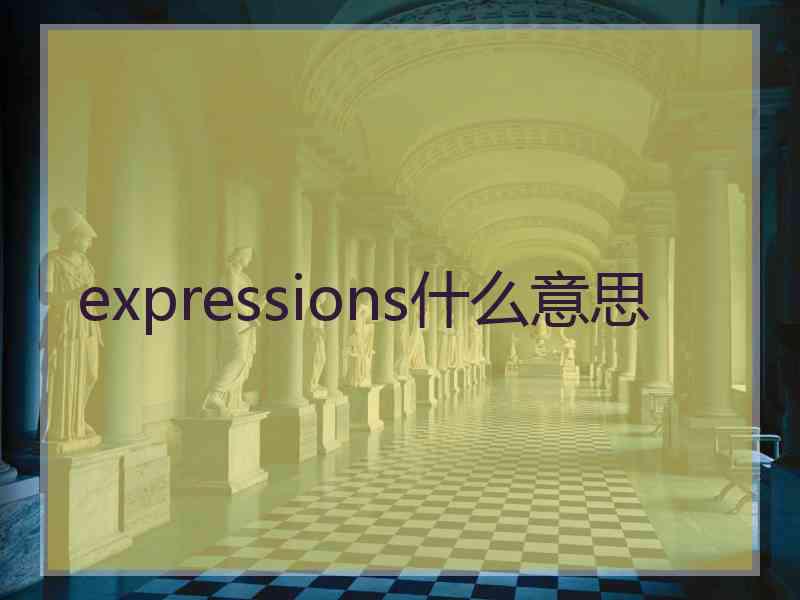 expressions什么意思