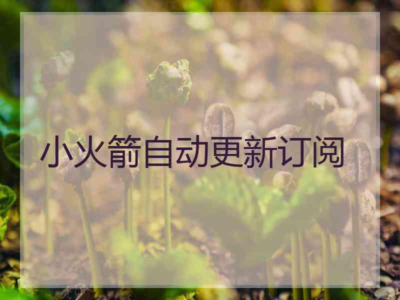 小火箭自动更新订阅