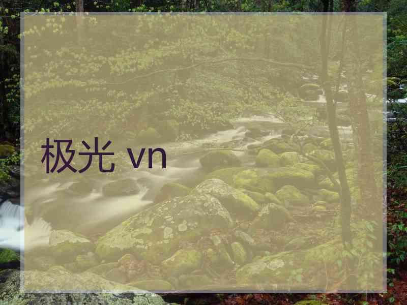 极光 vn