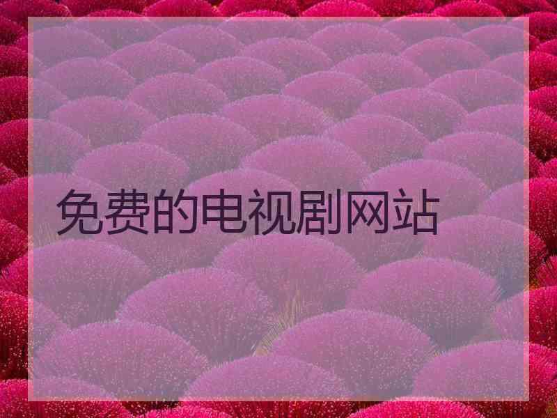 免费的电视剧网站