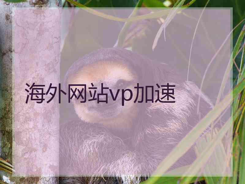 海外网站vp加速