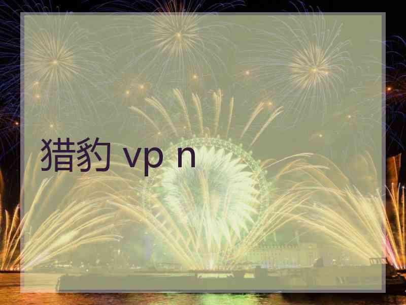 猎豹 vp n