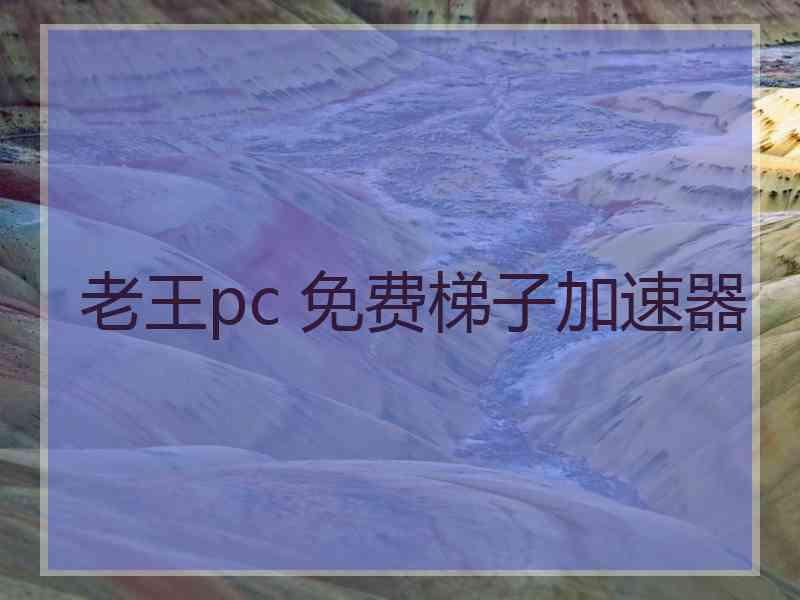 老王pc 免费梯子加速器