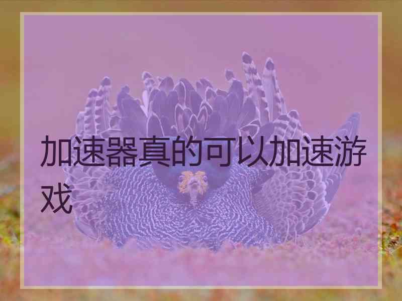 加速器真的可以加速游戏