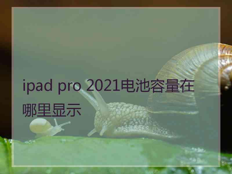 ipad pro 2021电池容量在哪里显示