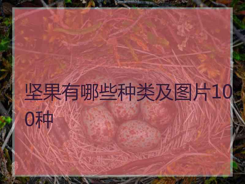 坚果有哪些种类及图片100种