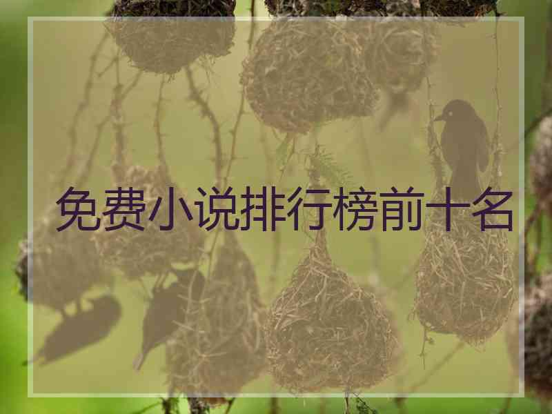 免费小说排行榜前十名