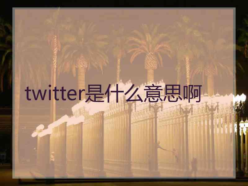 twitter是什么意思啊