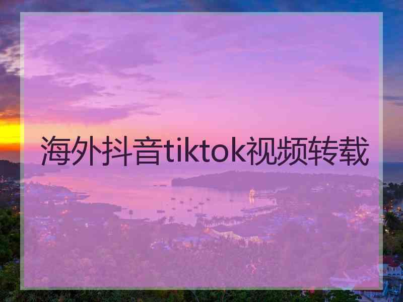 海外抖音tiktok视频转载