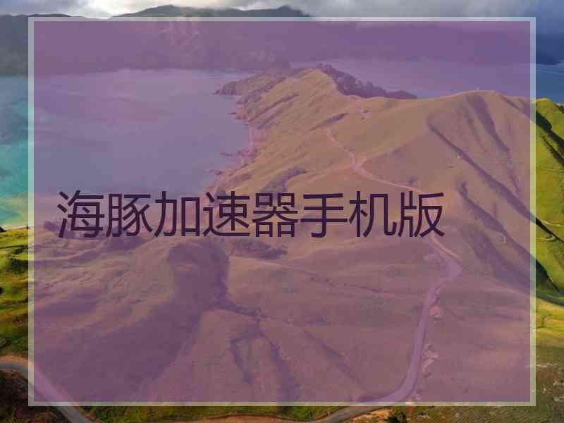 海豚加速器手机版