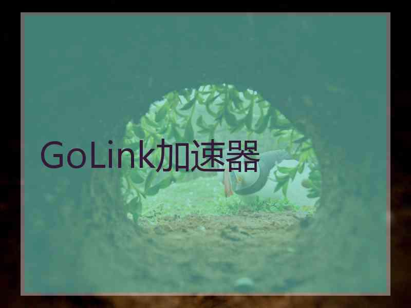 GoLink加速器