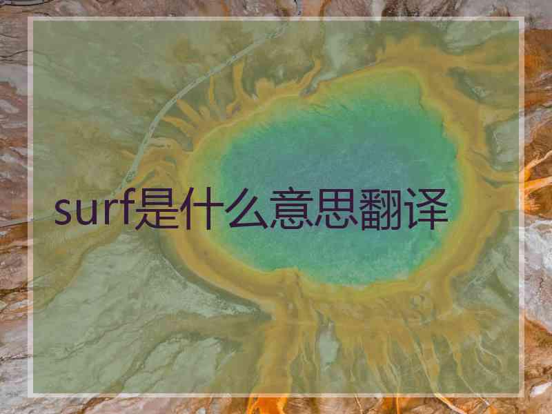 surf是什么意思翻译