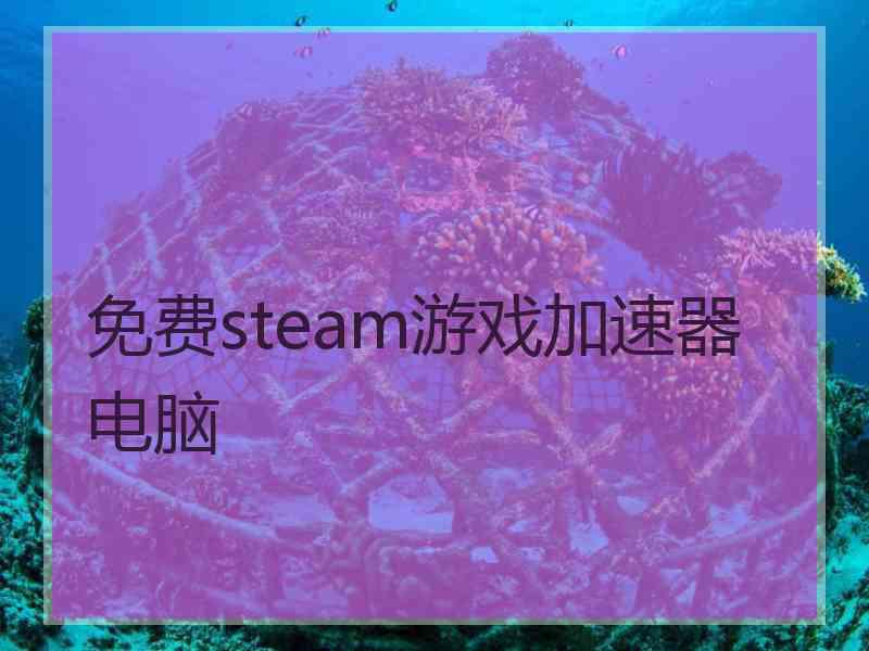 免费steam游戏加速器电脑