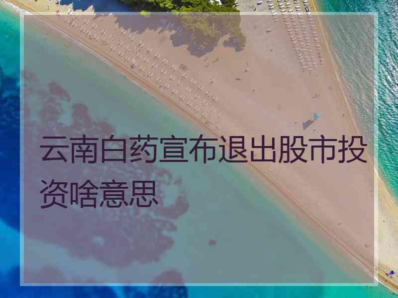 云南白药宣布退出股市投资啥意思