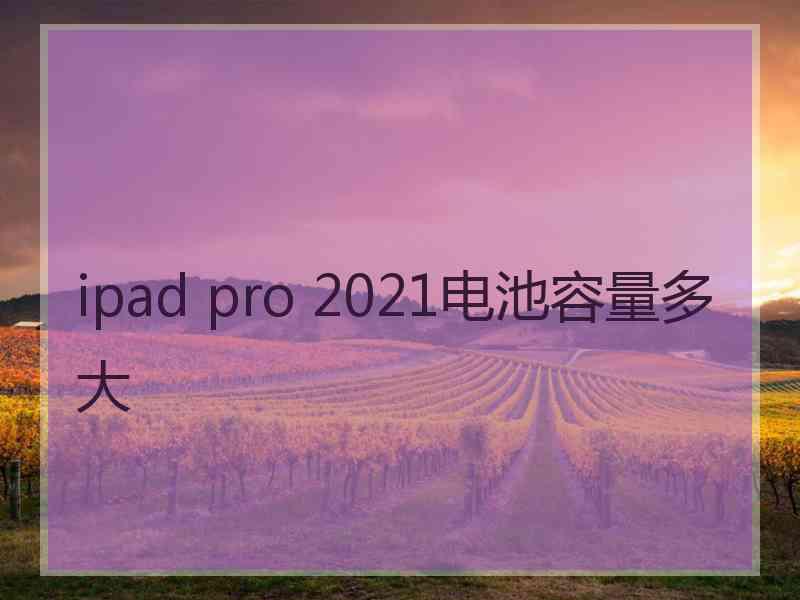 ipad pro 2021电池容量多大