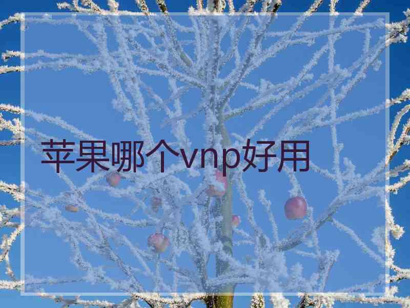 苹果哪个vnp好用