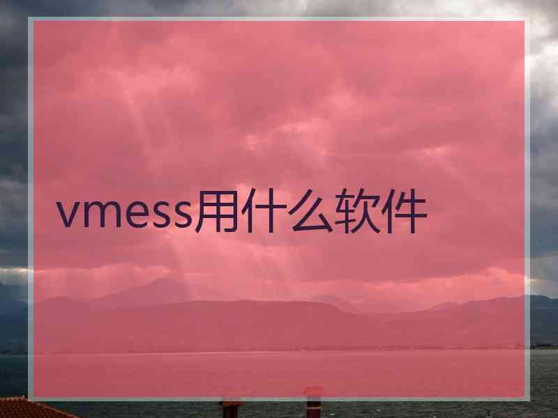 vmess用什么软件