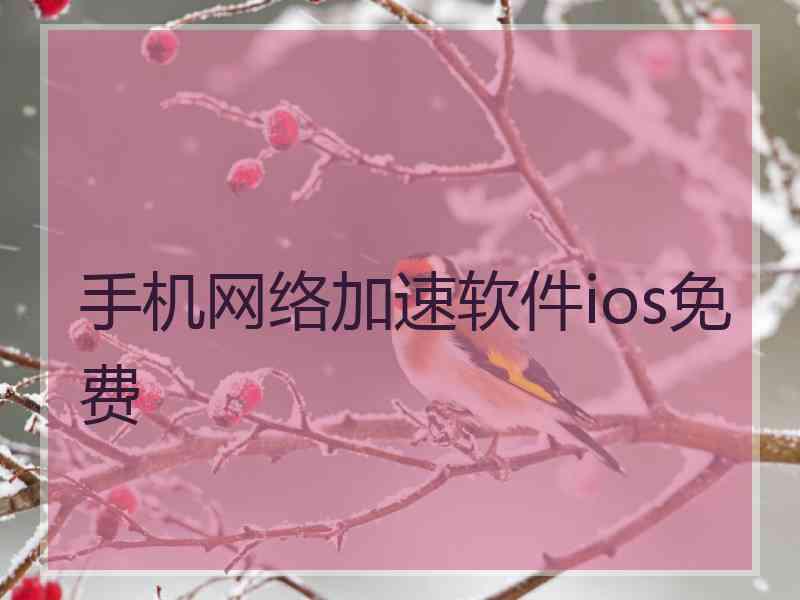 手机网络加速软件ios免费