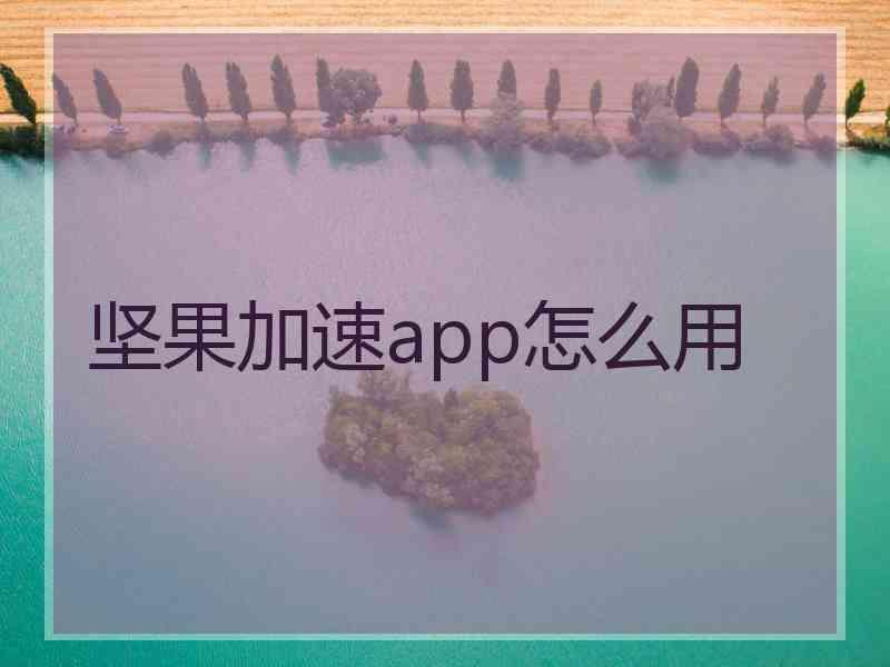 坚果加速app怎么用