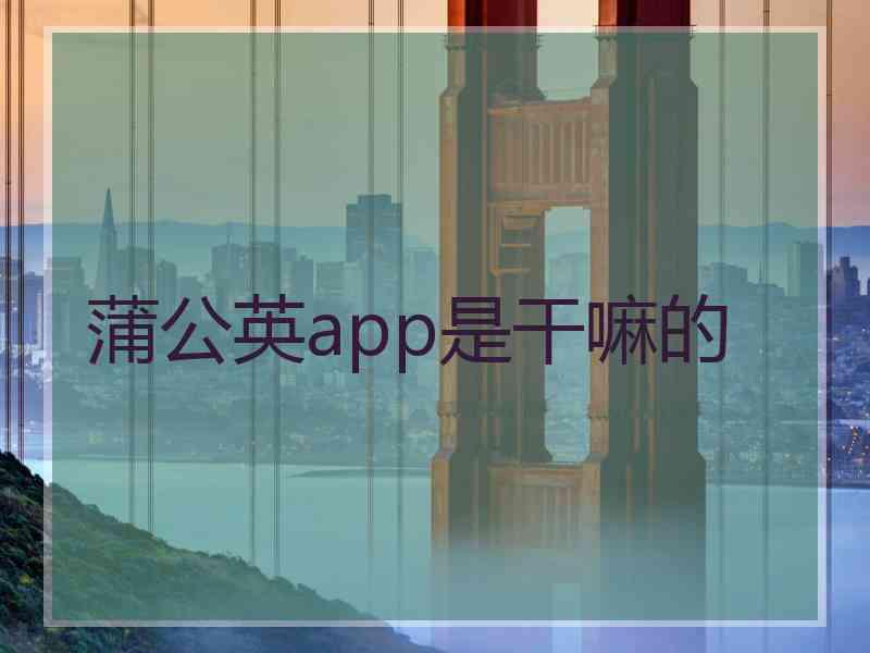 蒲公英app是干嘛的