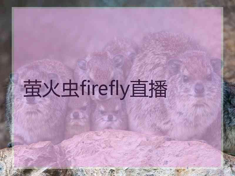 萤火虫firefly直播