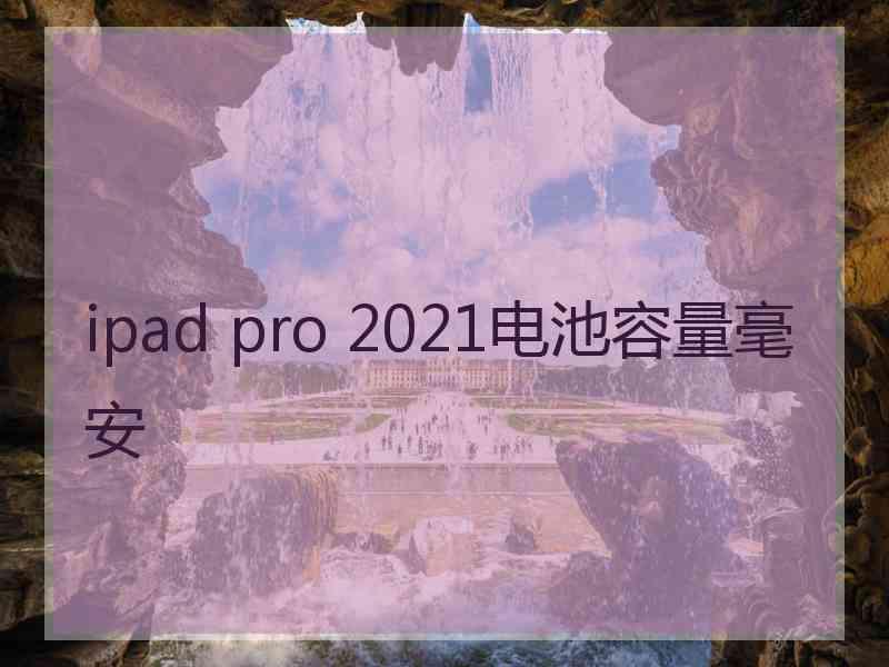 ipad pro 2021电池容量毫安