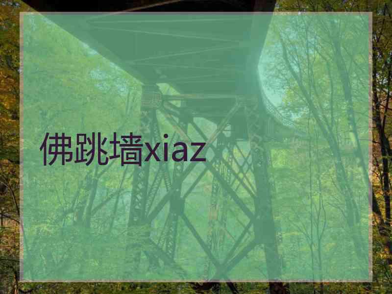 佛跳墙xiaz