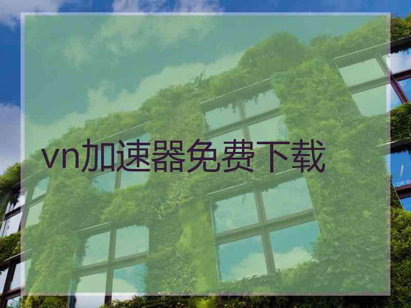 vn加速器免费下载