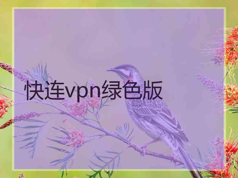 快连vpn绿色版