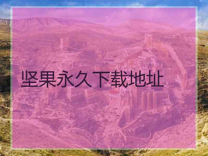 坚果永久下载地址