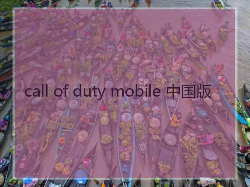 call of duty mobile 中国版