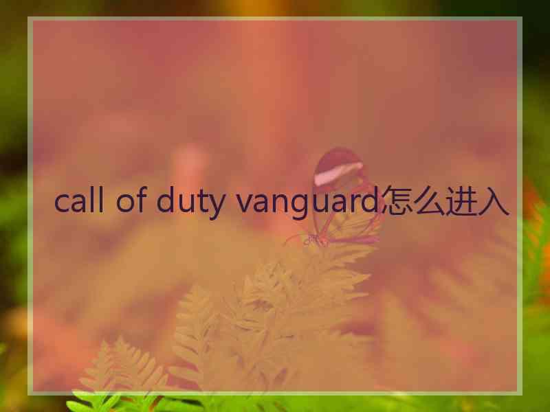 call of duty vanguard怎么进入