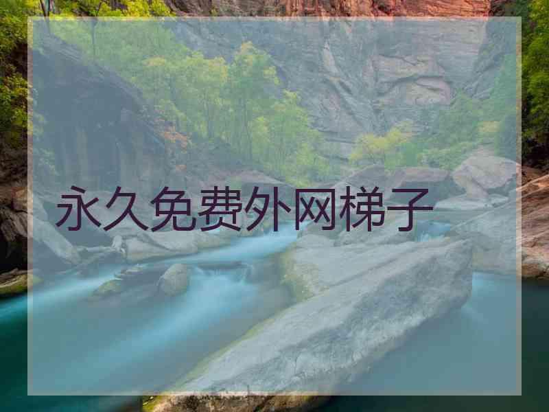 永久免费外网梯子